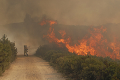 A person standing on the side of a road near a fire.